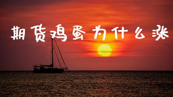 期货鸡蛋为什么涨_https://wap.letulww.com_投资管理_第1张