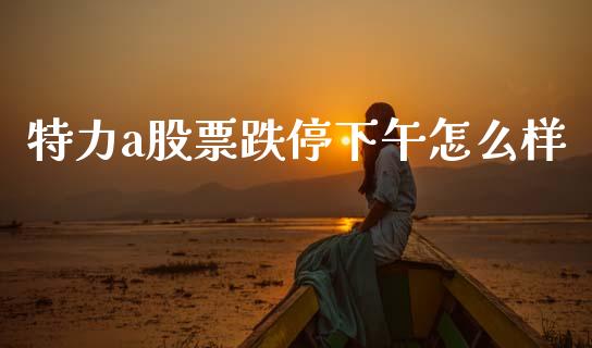 特力a股票跌停下午怎么样_https://wap.letulww.com_融资租赁_第1张