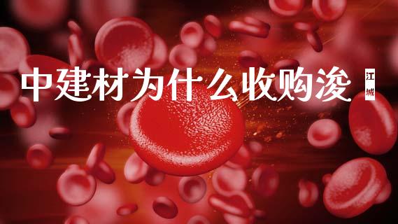 中建材为什么收购浚鑫_https://wap.letulww.com_投资管理_第1张