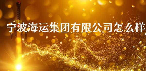 宁波海运集团有限公司怎么样_https://wap.letulww.com_投资策略_第1张