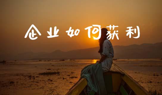 企业如何获利_https://wap.letulww.com_外汇交易_第1张