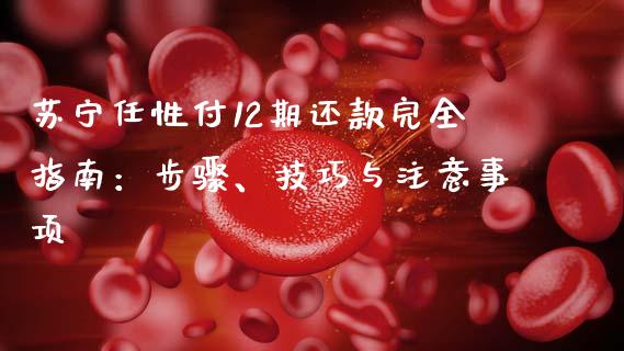 苏宁任性付12期还款完全指南：步骤、技巧与注意事项_https://wap.letulww.com_融资租赁_第1张
