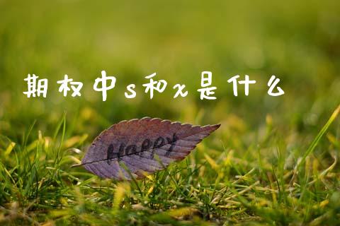 期权中s和x是什么_https://wap.letulww.com_投资管理_第1张