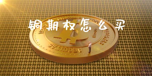 铜期权怎么买_https://wap.letulww.com_外汇交易_第1张