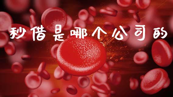 秒借是哪个公司的_https://wap.letulww.com_投资管理_第1张