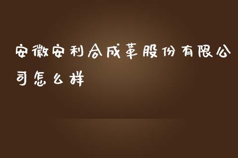 安徽安利合成革股份有限公司怎么样_https://wap.letulww.com_融资租赁_第1张