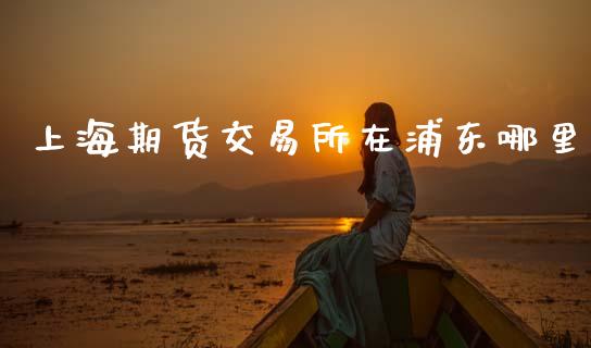 上海期货交易所在浦东哪里_https://wap.letulww.com_投资策略_第1张
