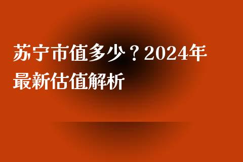 苏宁市值多少？2024年最新估值解析_https://wap.letulww.com_外汇交易_第1张