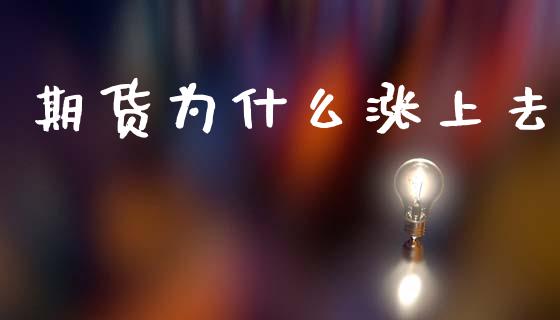 期货为什么涨上去_https://wap.letulww.com_投资管理_第1张