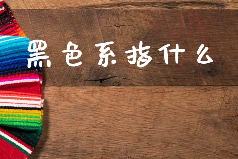 黑色系指什么_https://wap.letulww.com_投资策略_第1张