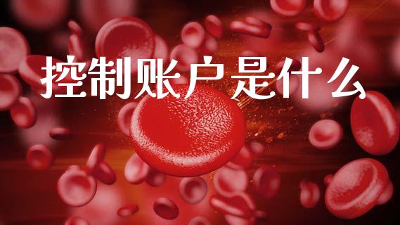 控制账户是什么_https://wap.letulww.com_投资策略_第1张