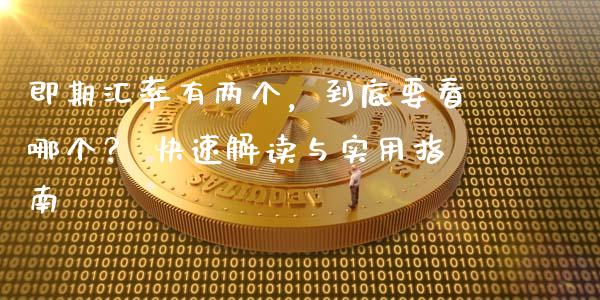 即期汇率有两个，到底要看哪个？ 快速解读与实用指南_https://wap.letulww.com_投资管理_第1张