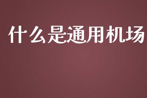 什么是通用机场_https://wap.letulww.com_投资管理_第1张