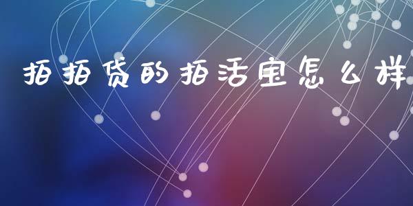 拍拍贷的拍活宝怎么样_https://wap.letulww.com_投资管理_第1张