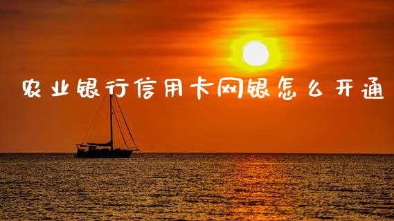 农业银行信用卡网银怎么开通_https://wap.letulww.com_外汇交易_第1张
