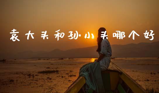 袁大头和孙小头哪个好_https://wap.letulww.com_外汇交易_第1张