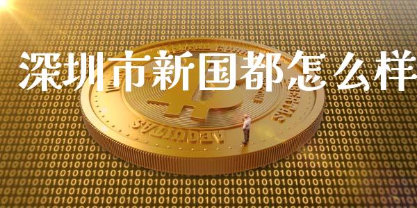 深圳市新国都怎么样_https://wap.letulww.com_融资租赁_第1张