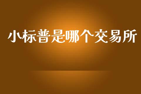 小标普是哪个交易所_https://wap.letulww.com_投资管理_第1张