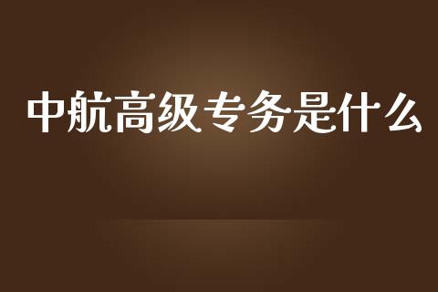 中航高级专务是什么_https://wap.letulww.com_融资租赁_第1张