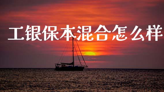 工银保本混合怎么样_https://wap.letulww.com_融资租赁_第1张