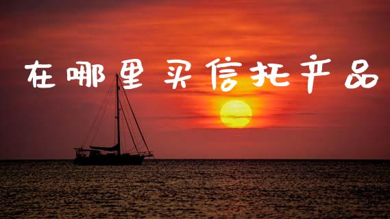 在哪里买信托产品_https://wap.letulww.com_投资策略_第1张