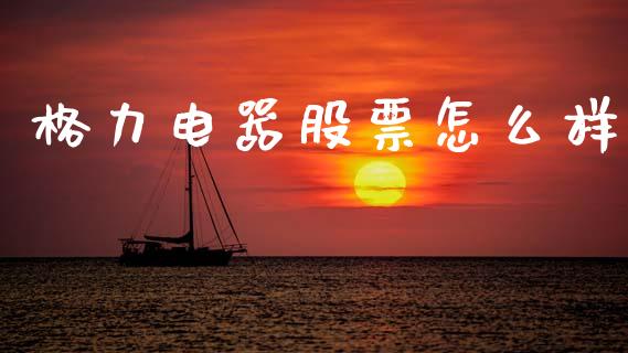 格力电器股票怎么样_https://wap.letulww.com_投资管理_第1张