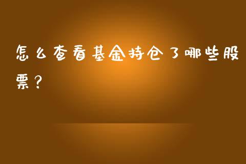 怎么查看基金持仓了哪些股票？_https://wap.letulww.com_融资租赁_第1张