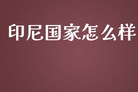 印尼国家怎么样_https://wap.letulww.com_投资策略_第1张