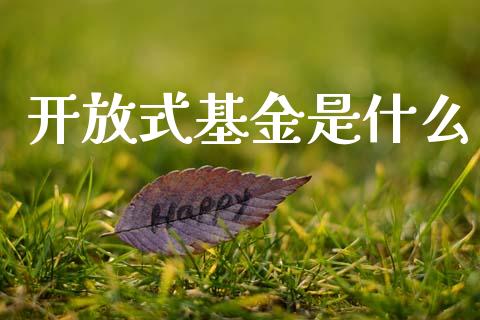 开放式基金是什么_https://wap.letulww.com_投资管理_第1张