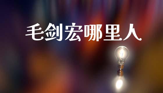 毛剑宏哪里人_https://wap.letulww.com_融资租赁_第1张