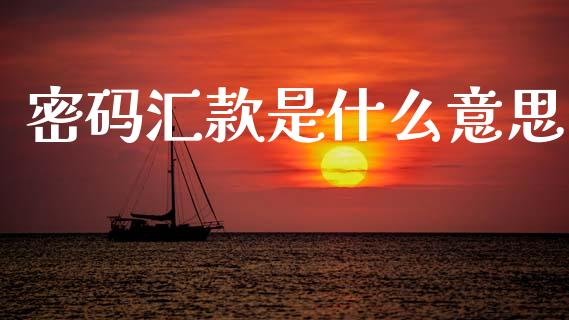 密码汇款是什么意思_https://wap.letulww.com_融资租赁_第1张