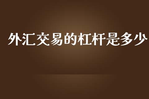 外汇交易的杠杆是多少_https://wap.letulww.com_投资管理_第1张