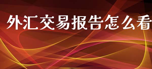 外汇交易报告怎么看_https://wap.letulww.com_投资管理_第1张