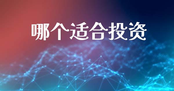 哪个适合投资_https://wap.letulww.com_投资策略_第1张