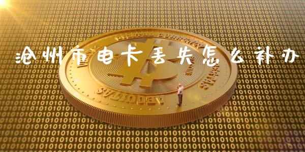 沧州市电卡丢失怎么补办_https://wap.letulww.com_投资管理_第1张