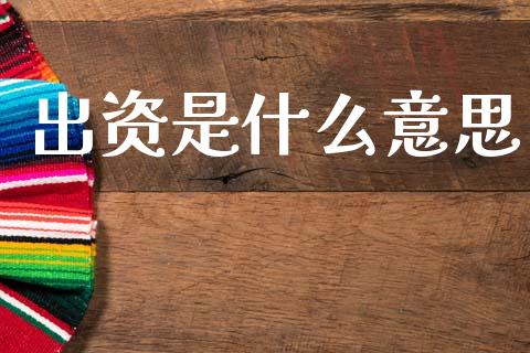 出资是什么意思_https://wap.letulww.com_投资策略_第1张