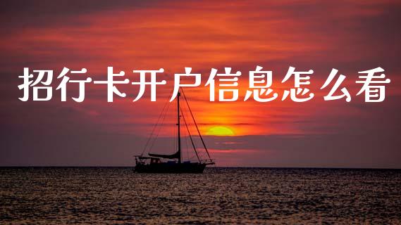 招行卡开户信息怎么看_https://wap.letulww.com_外汇交易_第1张