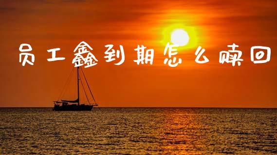 员工鑫到期怎么赎回_https://wap.letulww.com_融资租赁_第1张