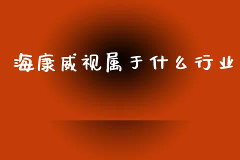 海康威视属于什么行业_https://wap.letulww.com_投资管理_第1张