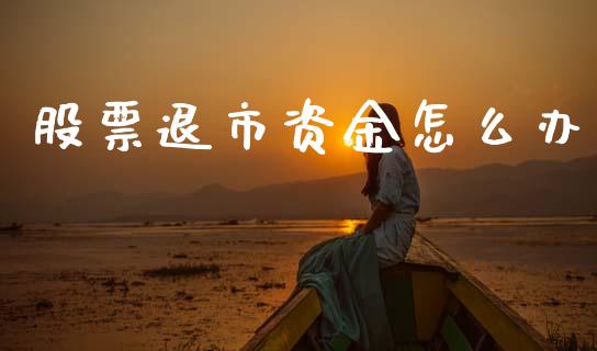 股票退市资金怎么办_https://wap.letulww.com_投资管理_第1张