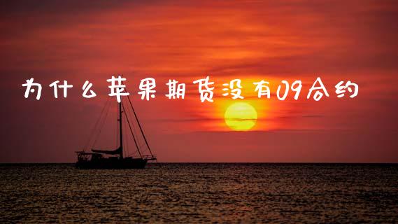 为什么苹果期货没有09合约_https://wap.letulww.com_投资策略_第1张