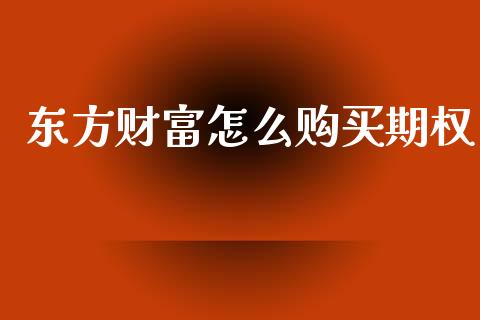 东方财富怎么购买期权_https://wap.letulww.com_投资策略_第1张