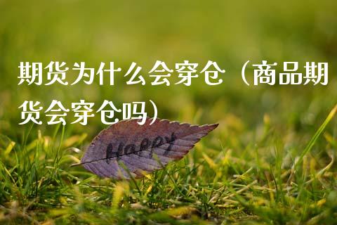 期货为什么会穿仓（商品期货会穿仓吗）_https://wap.letulww.com_投资管理_第1张