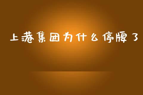 上港集团为什么停牌了_https://wap.letulww.com_融资租赁_第1张