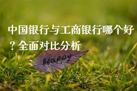 中国银行与工商银行哪个好？全面对比分析_https://wap.letulww.com_投资策略_第1张
