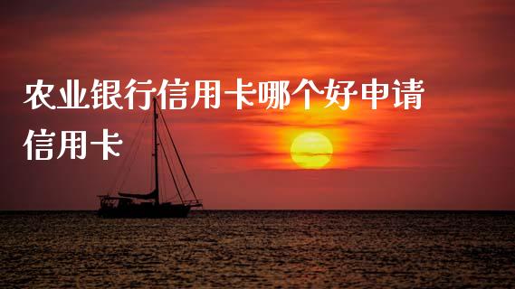 农业银行信用卡哪个好申请信用卡_https://wap.letulww.com_外汇交易_第1张