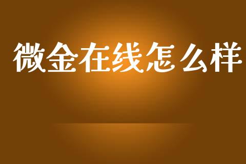 微金在线怎么样_https://wap.letulww.com_投资策略_第1张