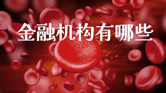 金融机构有哪些_https://wap.letulww.com_外汇交易_第1张