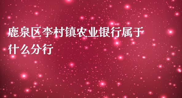 鹿泉区李村镇农业银行属于什么分行_https://wap.letulww.com_投资策略_第1张