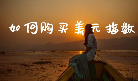 如何购买美元指数_https://wap.letulww.com_外汇交易_第1张